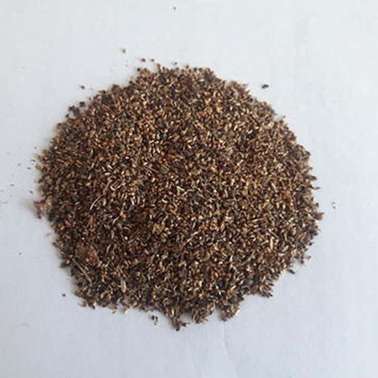 Peepal Tree Seeds – Ficus Religiosa for Avenue and Shade Trees SRI SAI FORESTRY