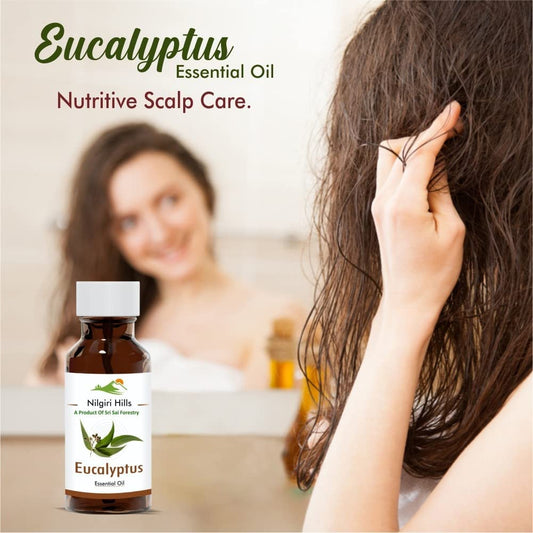 Eucalyptus Essential Oil (Nilgiri) - Therapeutic Grade SRI SAI FORESTRY