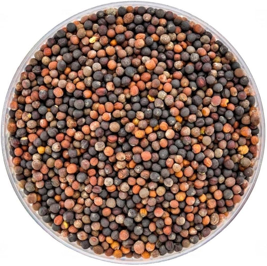 Cabbage Seeds for Planting (Patta Gobi, Kobi, Muttaikos) Vegetable Seed for Balcony, Terrace & Home Kitchen Garde SRI SAI FORESTRY