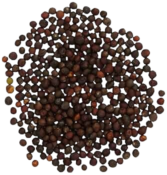 Cauliflower Seeds for Planting - (Phool Gobi, Koli Flower, Phulkobi, Kovippu) Vegetable Seed for Balcony, Terrace & Home Kitchen Garden SRI SAI FORESTRY