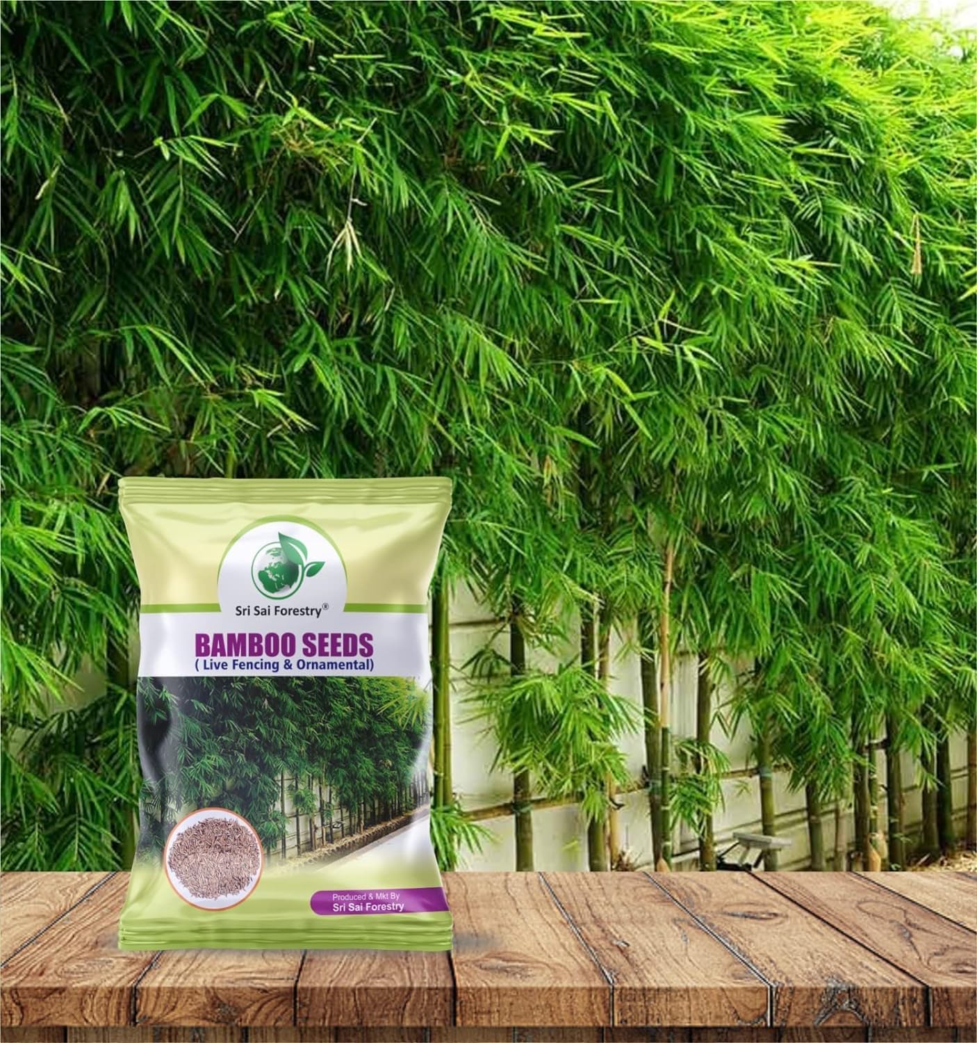 Bamboo Seeds Live Fencing for Home Garden | Ornamental Bamboo Seeds SRI SAI FORESTRY