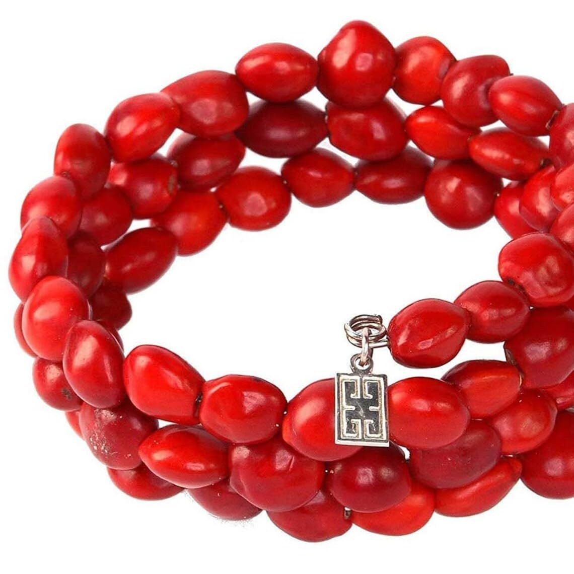 Coral Wood Tree Seeds (Adenanthera Pavonina) – Red Lucky Seeds SRI SAI FORESTRY