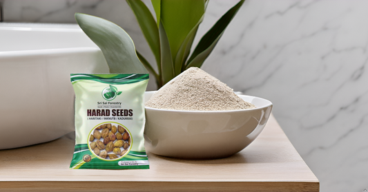 Organic Badi Harad Seeds (Haritaki | Kadukkai | Karakkaya | Terminalia Chebula | Ink Nut Seeds SRI SAI FORESTRY