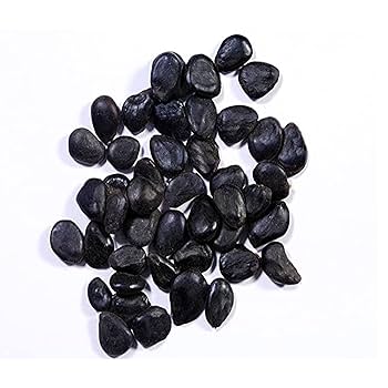 Jungle Jalebi Fruit Seeds (Manila Tamarind, Madras Thorn) SRI SAI FORESTRY