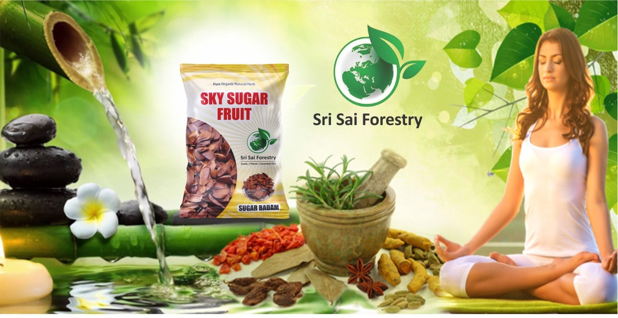 Sugar badam Sky fruit seeds Kadwa - Adavi Badam - Akasha Pandu - Kadwa Badam Seeds SRI SAI FORESTRY