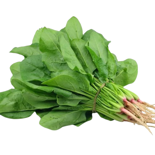 Spinach Seeds for Planting Palak Pasala Keerai Palakura Vegetable Seed for Home Garden, Terrace &amp; Balcony Gardening SRI SAI FORESTRY
