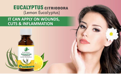 Eucalyptus Citriodora Oil – Refreshing Lemon Scent for Aromatherapy (Lemon Eucalyptus) SRI SAI FORESTRY