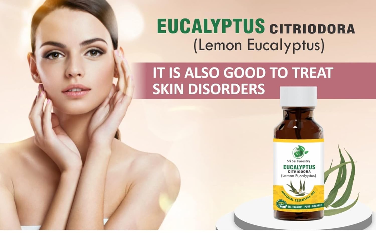 Eucalyptus Citriodora Oil – Refreshing Lemon Scent for Aromatherapy (Lemon Eucalyptus) SRI SAI FORESTRY