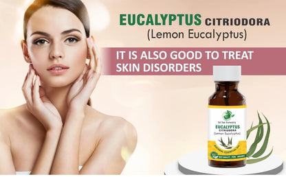 Eucalyptus Citriodora Oil – Refreshing Lemon Scent for Aromatherapy (Lemon Eucalyptus) SRI SAI FORESTRY