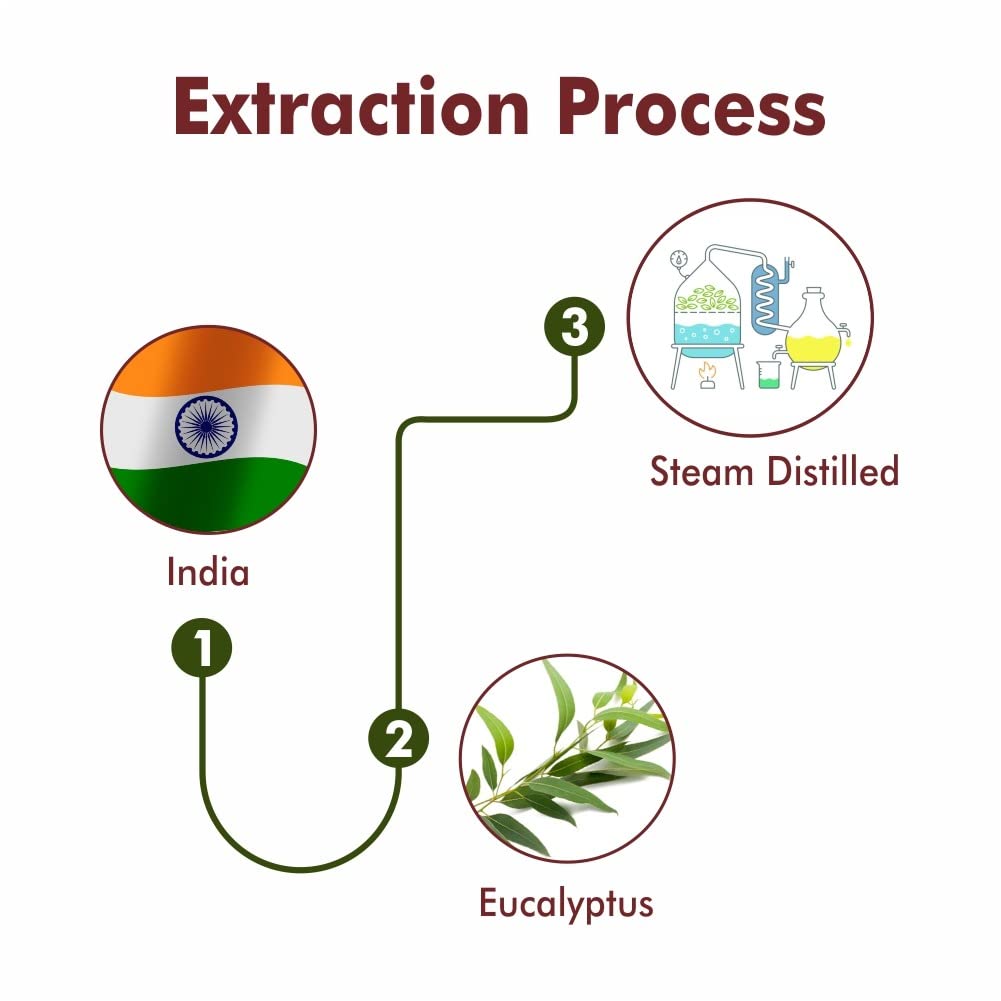 Eucalyptus Essential Oil (Nilgiri) - Therapeutic Grade SRI SAI FORESTRY