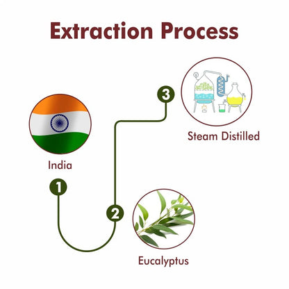 Eucalyptus Essential Oil (Nilgiri) - Therapeutic Grade SRI SAI FORESTRY