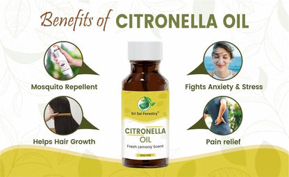 Nilgiri Hills Citronella Oil for Natural Hair Care, Oily Skin Treatment & Aromatherapy SRI SAI FORESTRY