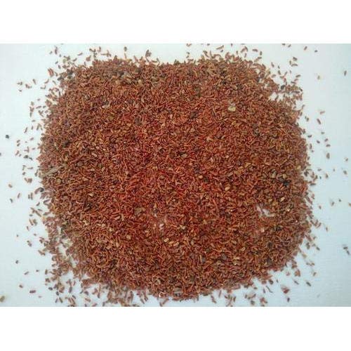 Banyan Tree Seeds (Ficus Benghalensis) –  For Avenue Planting and Shade Tree Growth SRI SAI FORESTRY