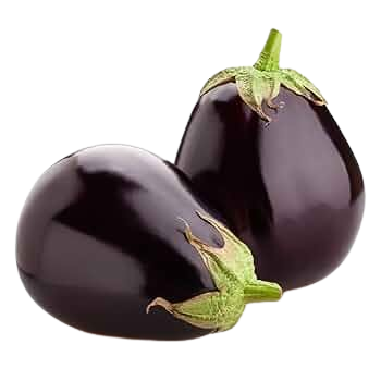 Round Brinjal Seeds for Planting&nbsp; | Eggplant | Begun | Kathirikai | Vankaya | Badanekai Vegetable Seeds | Terrace Balcony Kitchen Home Garden Planting SRI SAI FORESTRY
