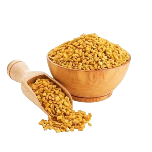 Fenugreek Seeds for Planting Methi Bhaji Menthi Kura Vendayakeerai Uluva Vegetable Seed for Home Garden, Terrace &amp; Balcony Gardening SRI SAI FORESTRY