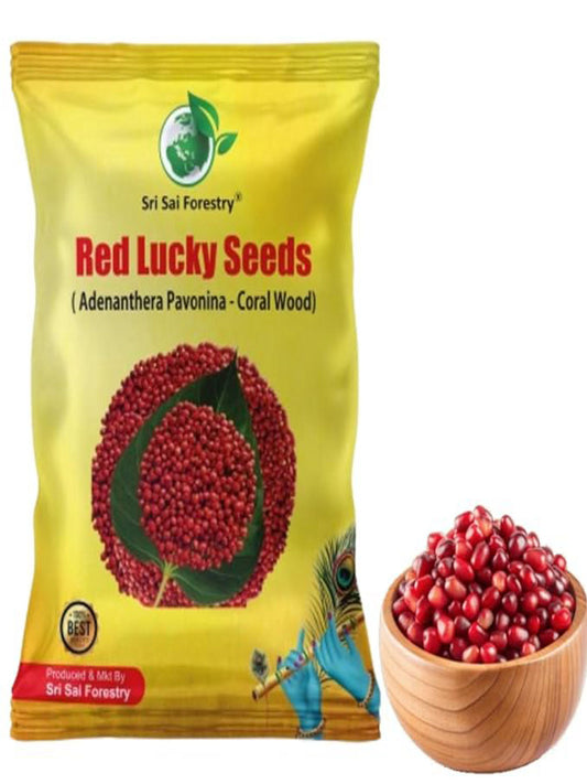 Coral Wood Tree Seeds (Adenanthera Pavonina) – Red Lucky Seeds SRI SAI FORESTRY
