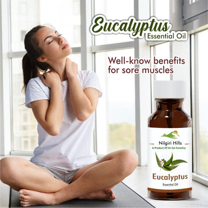 Eucalyptus Essential Oil (Nilgiri) - Therapeutic Grade SRI SAI FORESTRY