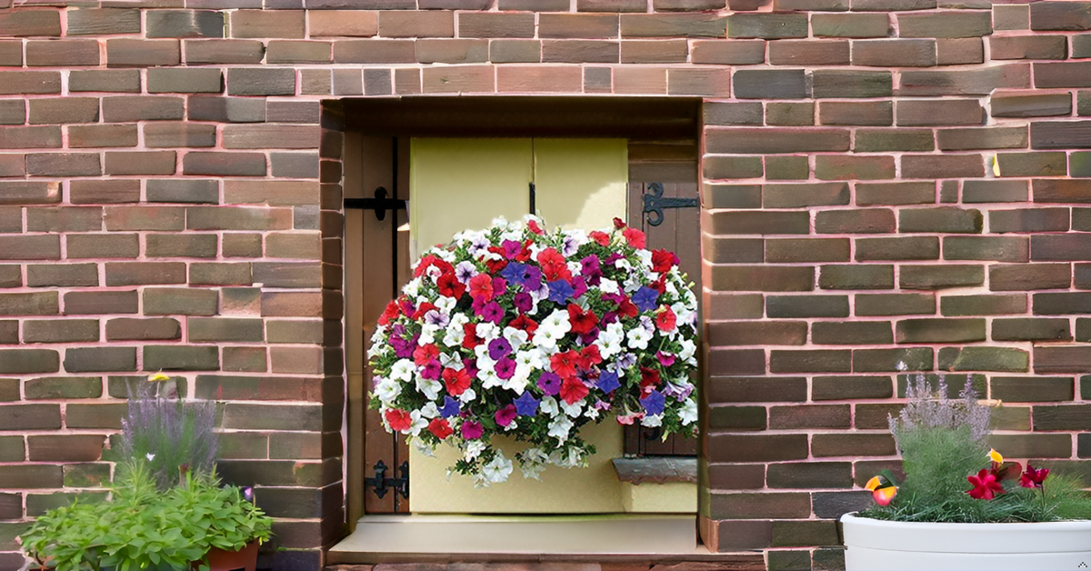 Petunia Flower Seeds for Home Garden SRI SAI FORESTRY