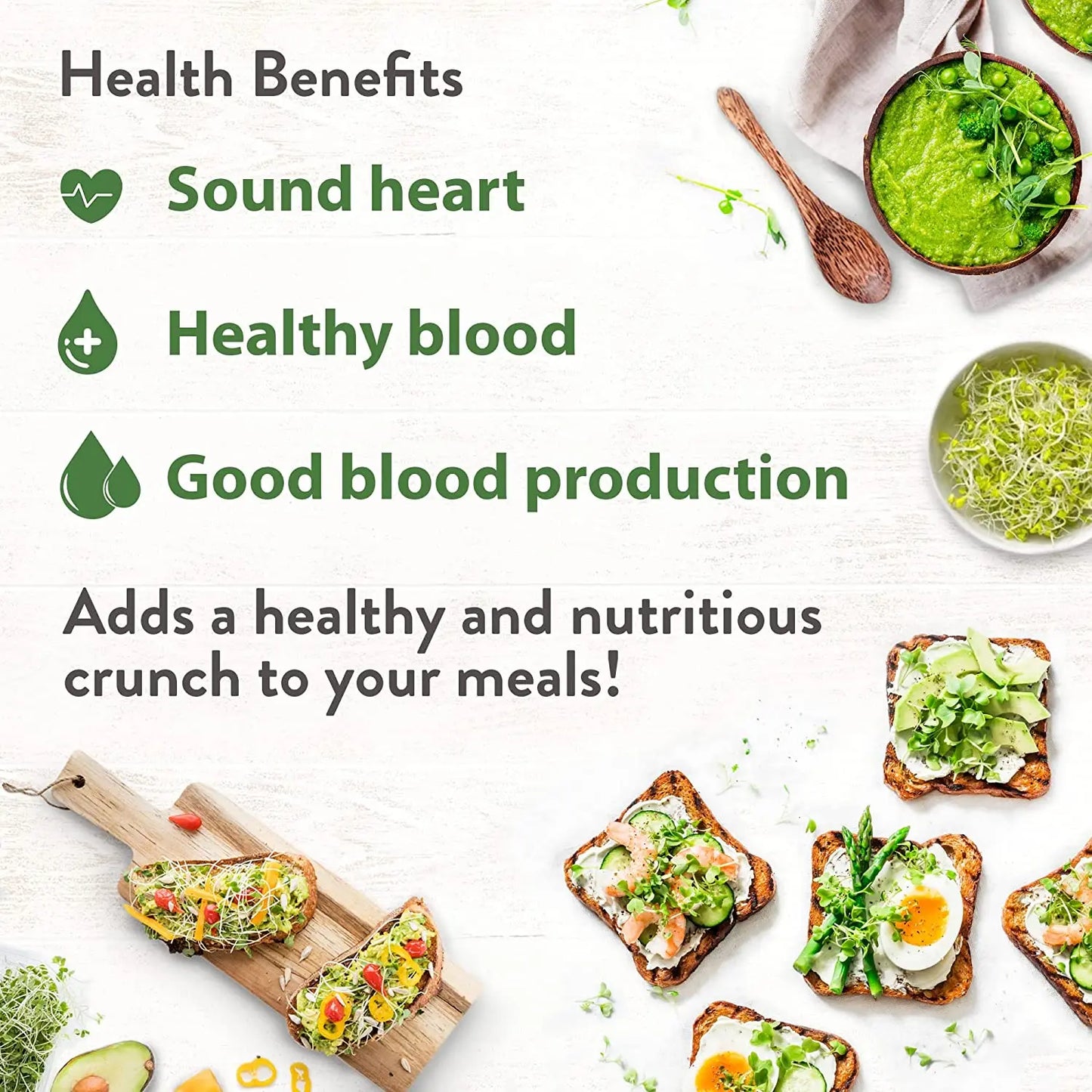 Alfalfa Sprouting Seeds | Perfect for Sprouting & Microgreens SRI SAI FORESTRY