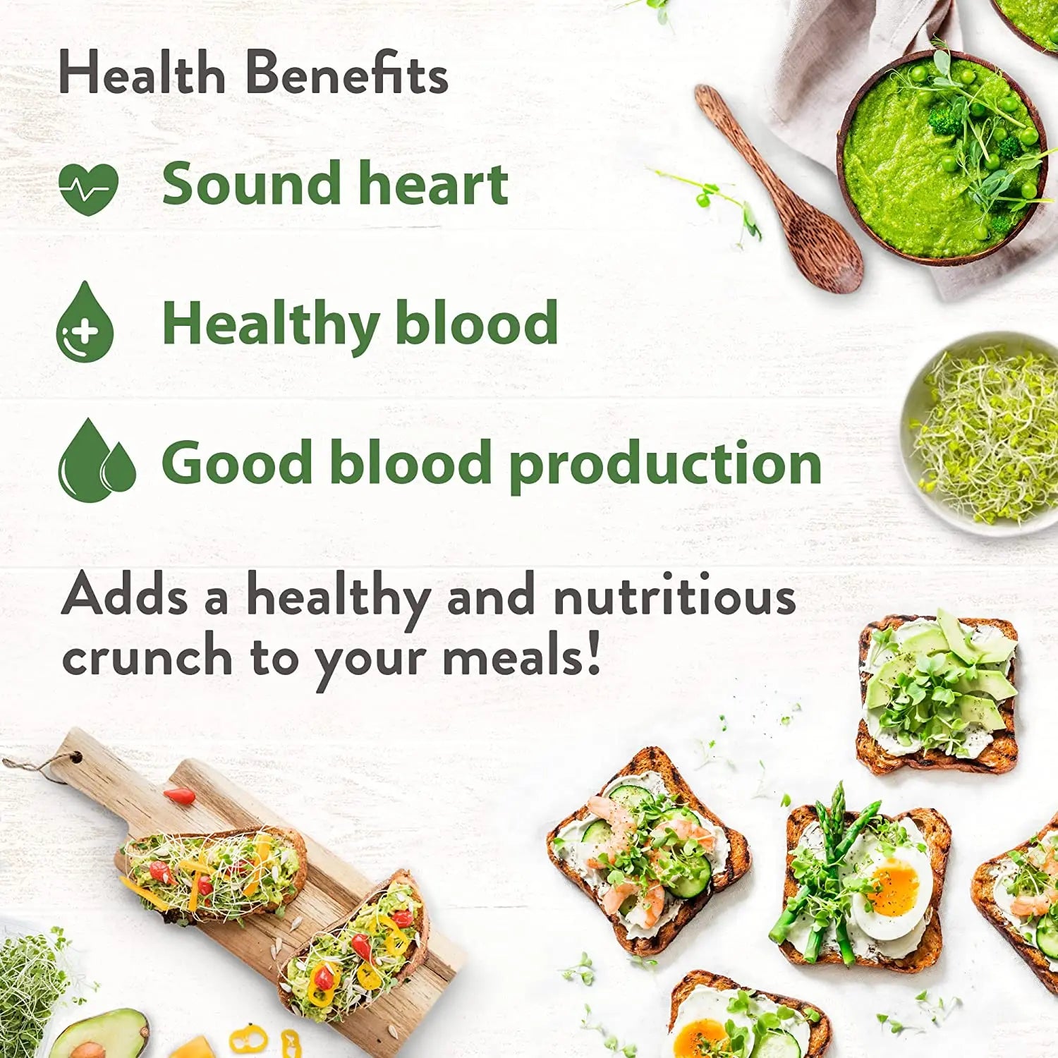 Alfalfa Sprouting Seeds | Perfect for Sprouting & Microgreens SRI SAI FORESTRY