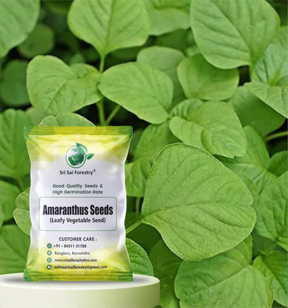 Amaranthus Seeds – Vibrant, Nutritious & Easy to Grow SRI SAI FORESTRY