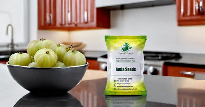 Amla Seeds | Indian Gooseberry Tree Seeds for Planting SRI SAI FORESTRY