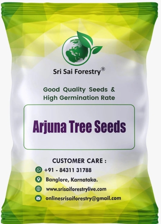 Arjuna Seeds for Planting -Terminalia SRI SAI FORESTRY