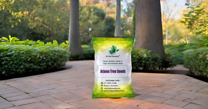 Arjuna Seeds for Planting -Terminalia SRI SAI FORESTRY