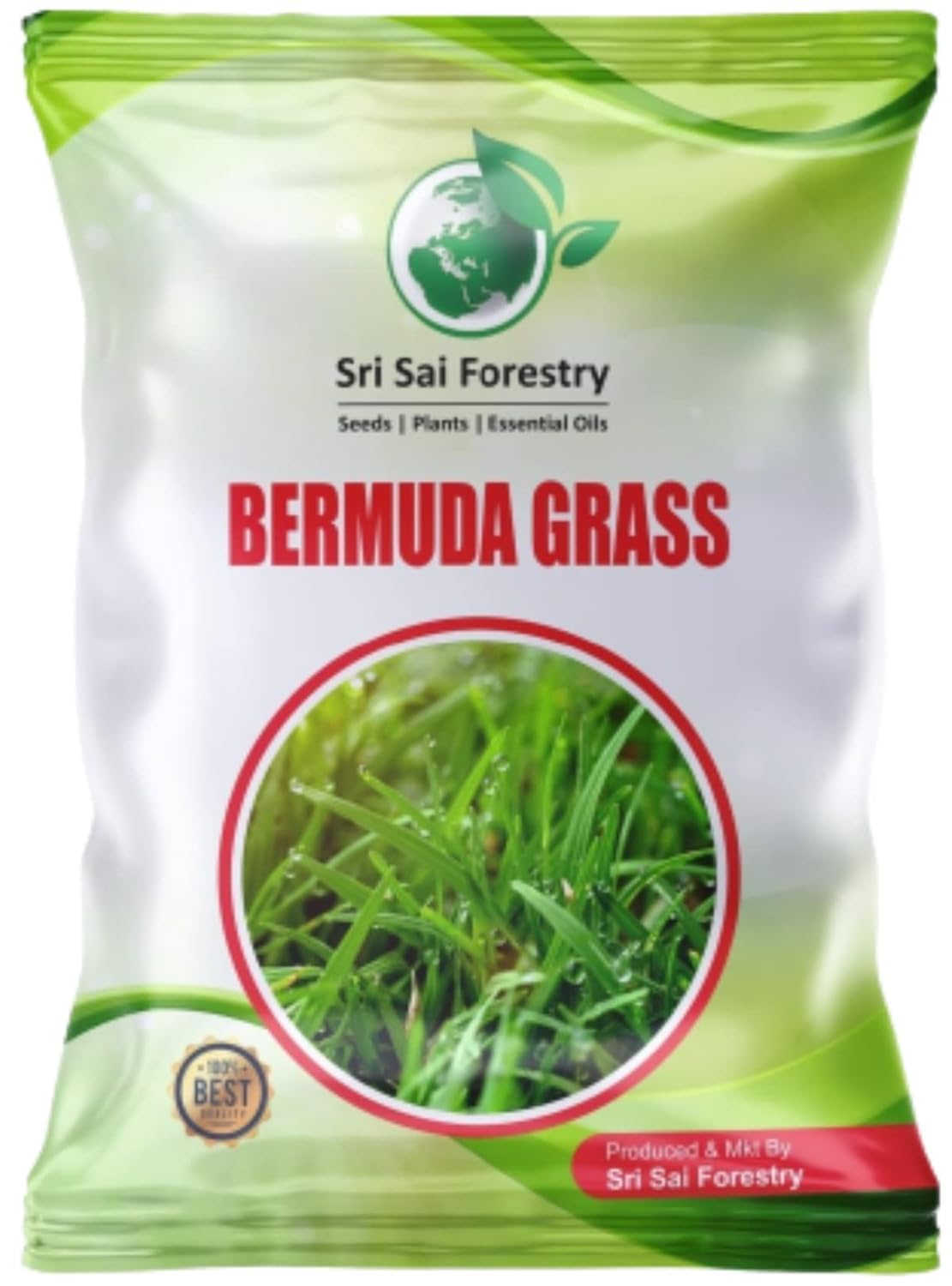 Bermuda Grass Seeds for Home Lawn SRI SAI FORESTRY