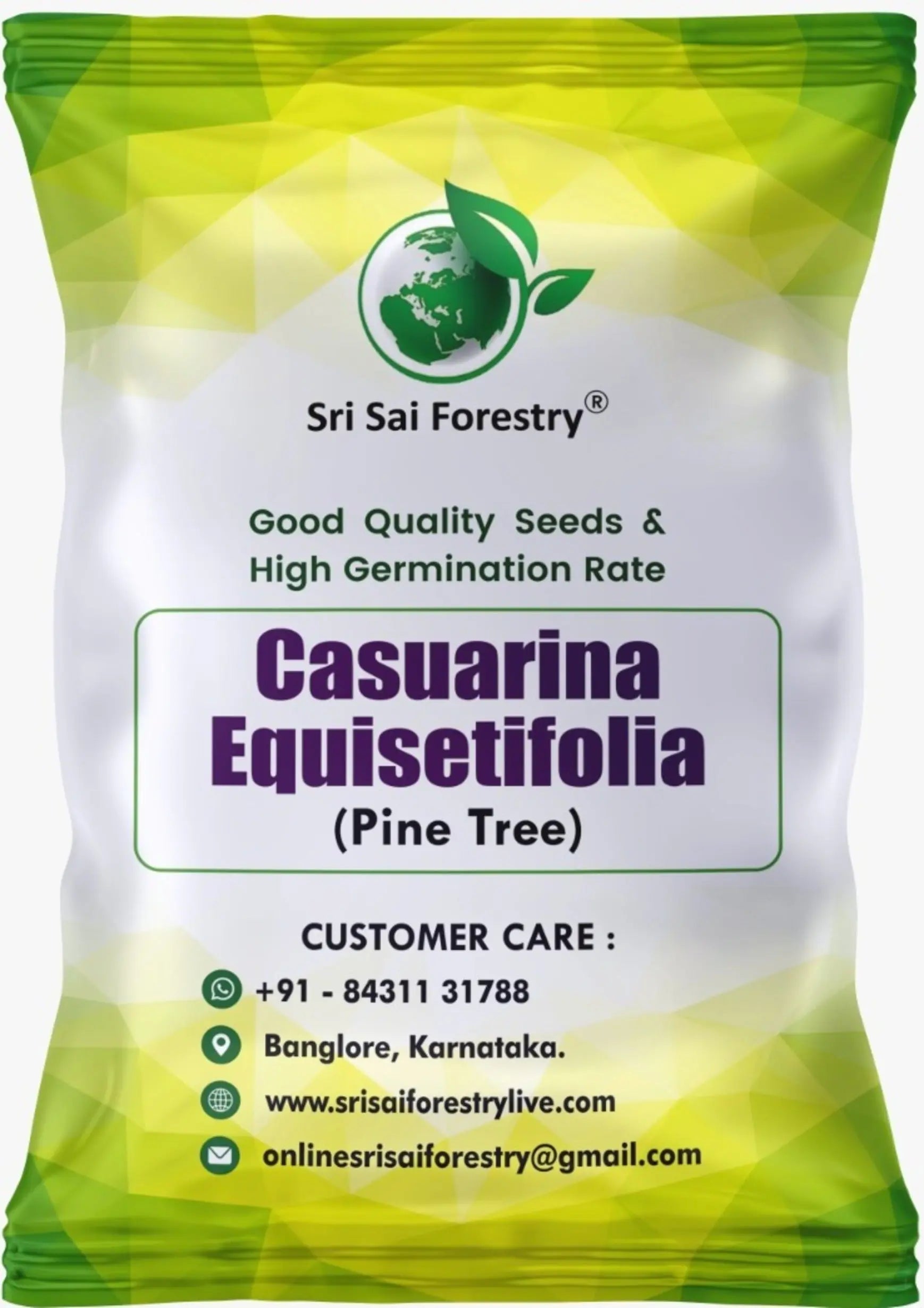 Casuarina Equisetifolia seeds (Pine seeds) SRI SAI FORESTRY