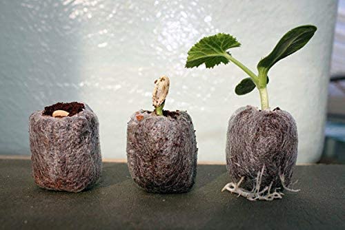 Coco Coir Pellets - 50mm - Organic Coconut Fiber Soil Conditioner for Gardening, Eco-Friendly Seed Starter & Hydroponic Growing Medium, 100% Natural Coco Pellets for Plants SRI SAI FORESTRY