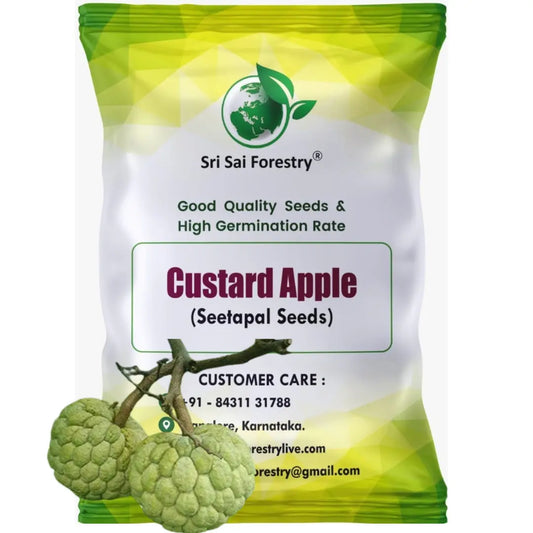 Custard Apple Seeds | Sitaphal Plant Seeds SRI SAI FORESTRY
