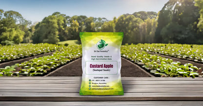 Custard Apple Seeds | Sitaphal Plant Seeds SRI SAI FORESTRY