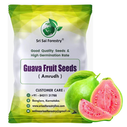 Guava Tree Seeds for Planting SRI SAI FORESTRY