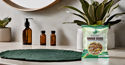 Organic Badi Harad Seeds (Haritaki | Kadukkai | Karakkaya | Terminalia Chebula | Ink Nut Seeds SRI SAI FORESTRY