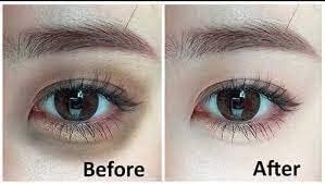 Organic Badi Harad Seeds (Haritaki | Kadukkai | Karakkaya | Terminalia Chebula | Ink Nut Seeds SRI SAI FORESTRY