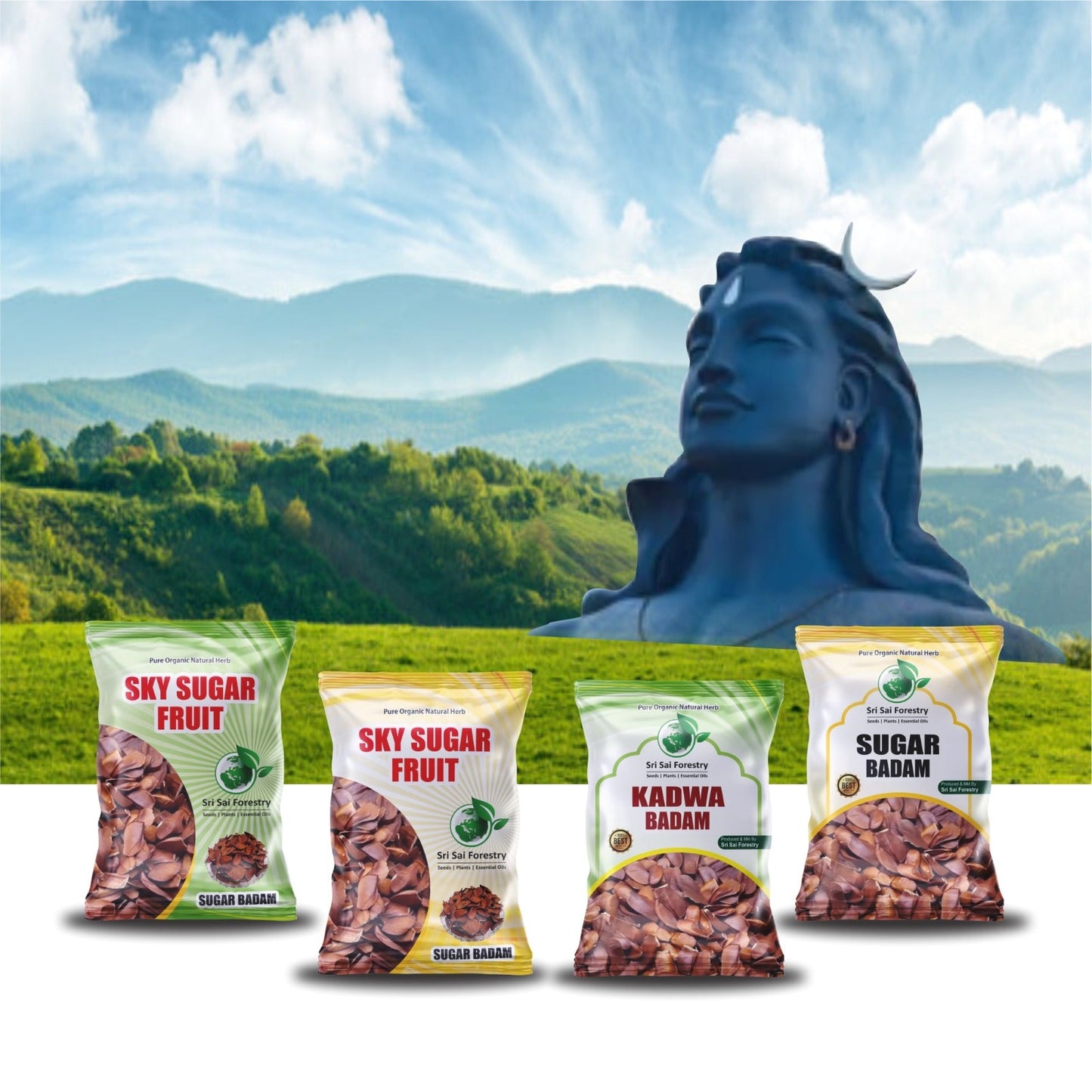 Sugar badam Sky fruit seeds Kadwa - Adavi Badam - Akasha Pandu - Kadwa Badam Seeds SRI SAI FORESTRY