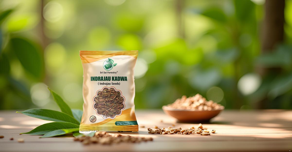 Indrajau Kadwa Seeds | Inderjo Kadwa | Indrajav | Indrajao SRI SAI FORESTRY