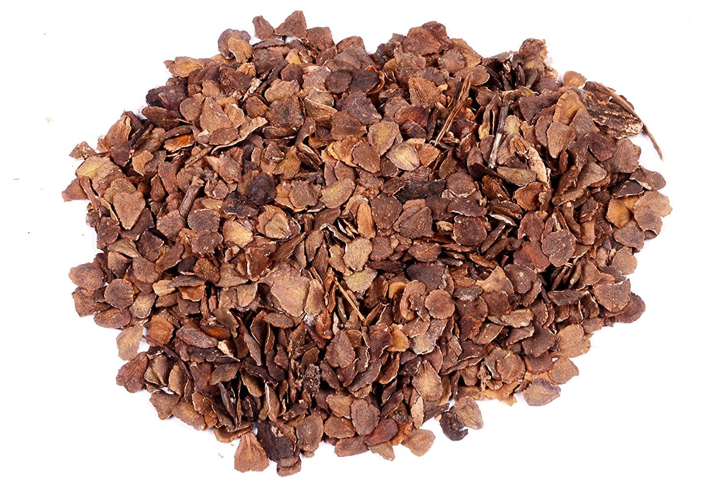 Blue Jacaranda (Jacaranda Mimosifolia) Tree Seeds – Elegant Avenue and Live Fencing Flowering Tree SRI SAI FORESTRY