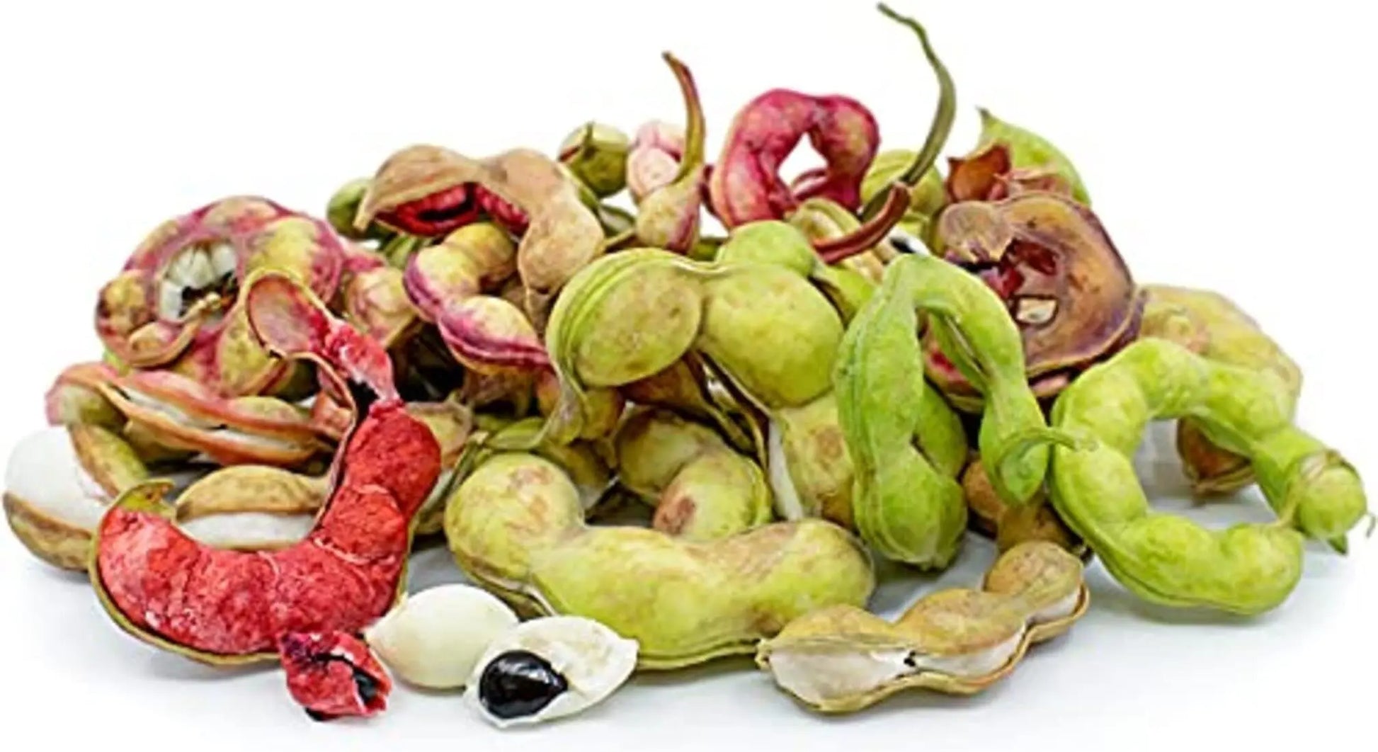 Jungle Jalebi Fruit Seeds (Manila Tamarind, Madras Thorn) SRI SAI FORESTRY