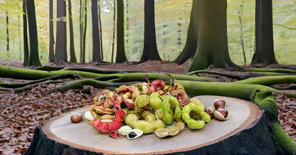 Jungle Jalebi Fruit Seeds (Manila Tamarind, Madras Thorn) SRI SAI FORESTRY