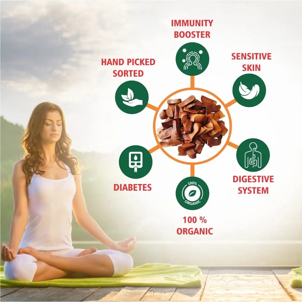 Kadwa Badam Seeds - Sky Fruit Seed - Unpeeled SRI SAI FORESTRY