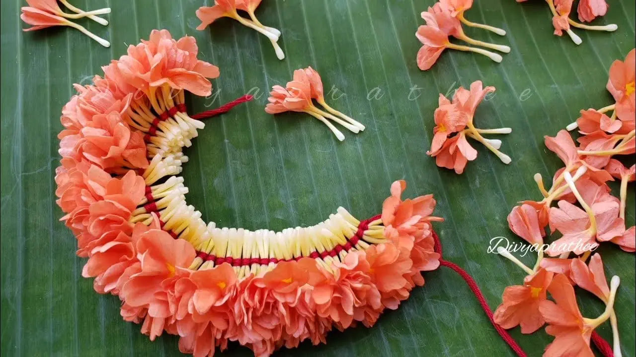 Kanakambaram Flower Seed | Crossandra Flower Seeds SRI SAI FORESTRY