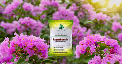 Lagerstroemia Speciosa (Pride of India) Tree Seeds – Vibrant Flowering Beauty for Landscaping SRI SAI FORESTRY