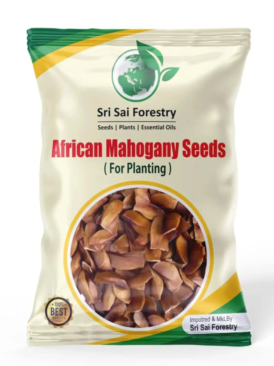 African Mahogany Tree Seeds For Planting SRI SAI FORESTRY