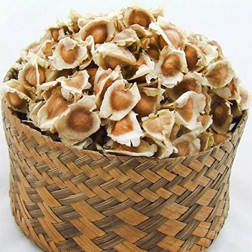 Moring Vegetable Seeds for Home Garden SRI SAI FORESTRY