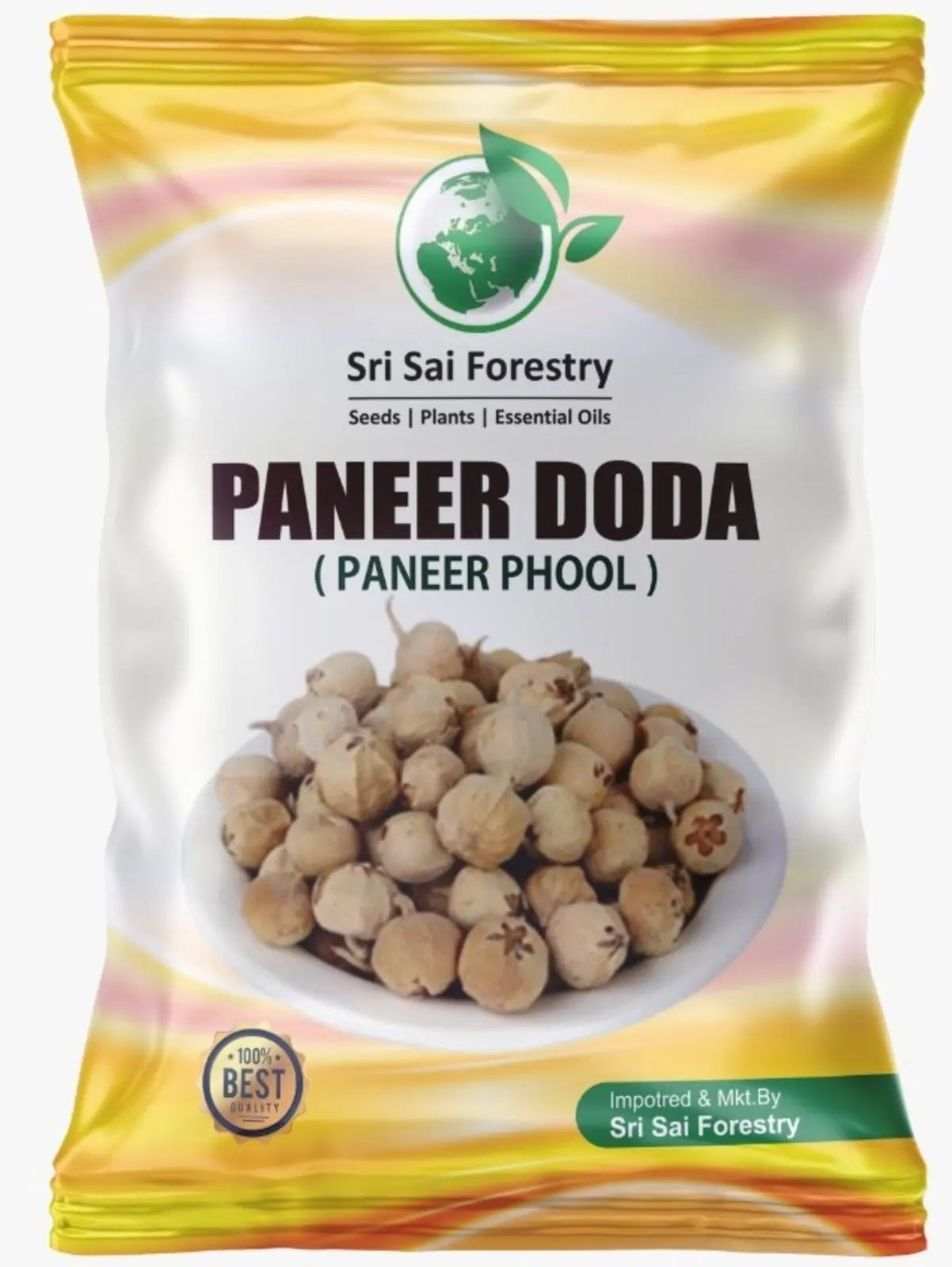 Paneer Dodi | Paneer Phool For Diabetes SRI SAI FORESTRY