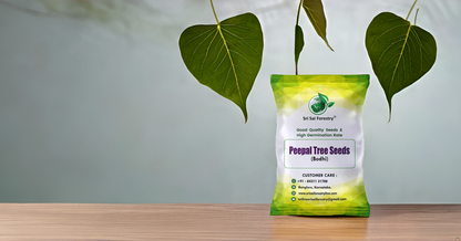 Peepal Tree Seeds – Ficus Religiosa for Avenue and Shade Trees SRI SAI FORESTRY