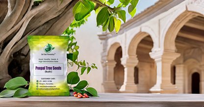 Peepal Tree Seeds – Ficus Religiosa for Avenue and Shade Trees SRI SAI FORESTRY