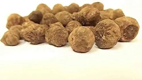 Teak Wood Seeds (Tectona Grandis) Sagwan Tree Seeds SRI SAI FORESTRY